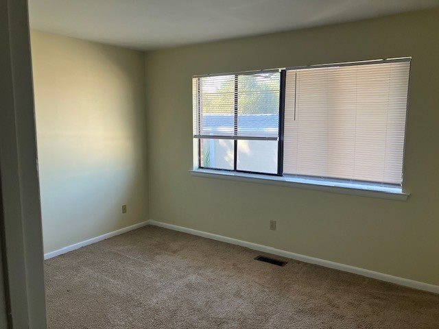 Gallery Photo 3